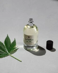 Sister's Aroma Like Cannabis But Not - Perfumed Spray 18 Sister's Aroma Like Cannabis But Not - Perfumed Spray -Best Cosmetics Store 3g0j3vo8wumv