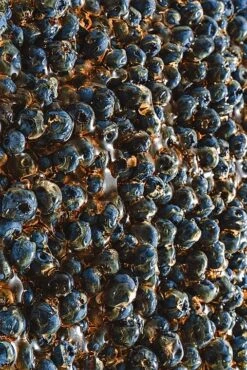 Sister's Aroma Berry Me - Perfumed Spray 23 Sister's Aroma Berry Me - Perfumed Spray -Best Cosmetics Store gkgngcf4gox4