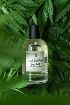Sister's Aroma Like Cannabis But Not - Perfumed Spray 20 Sister's Aroma Like Cannabis But Not - Perfumed Spray -Best Cosmetics Store ntfqt7c1ztav
