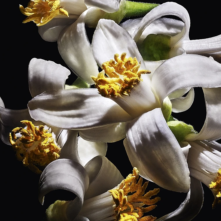 Yves Saint Laurent Libre Le Parfum - Eau De Parfum 9 Yves Saint Laurent Libre Le Parfum - Eau De Parfum - Image 7